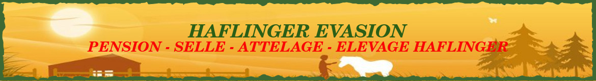 HAFLINGER EVASION